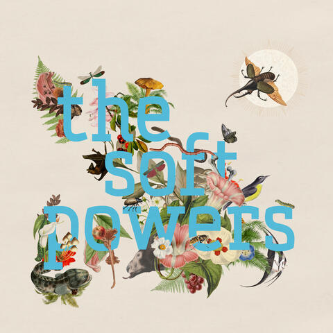 The Soft Powers album art