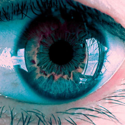 aripiprazole (ned) album art