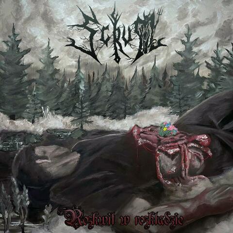 Rozkwit w rozkładzie album art