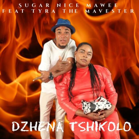 Dzhena Tshikolo (feat. Tyra the mavester) album art