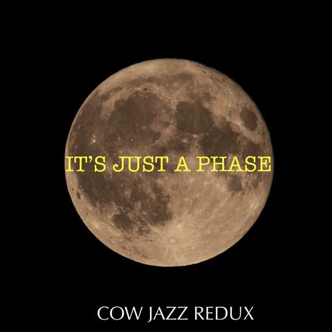 IT'S JUST A PHASE album art
