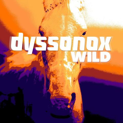 Wild album art