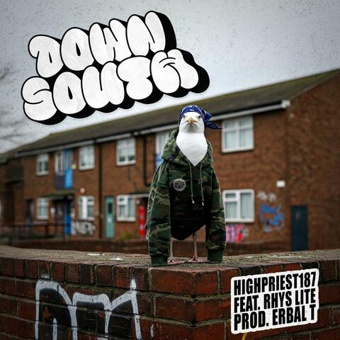 Down South (feat. Rhys Lite & Erbal T) album art