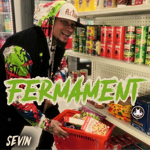 Fermament album art