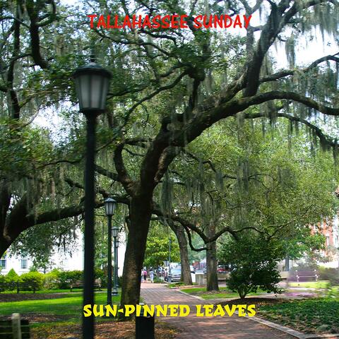 Tallahassee Sunday album art