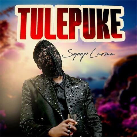 Tulepuke album art