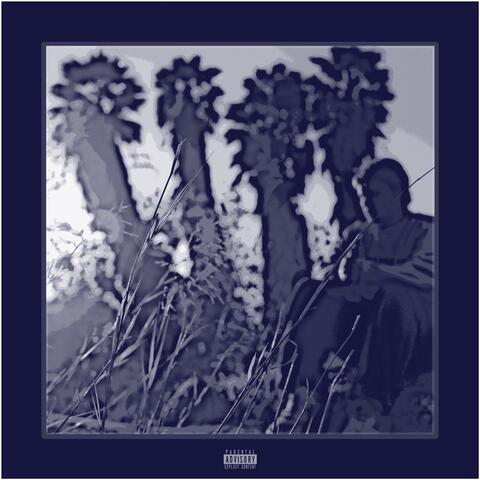 Elements album art
