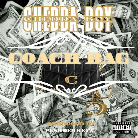 COACH BAG album art