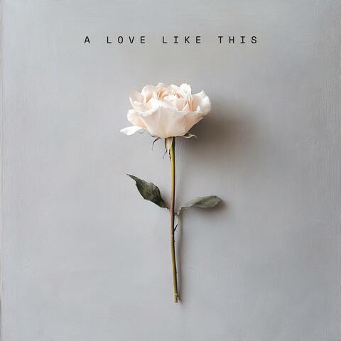 From This Moment On album art