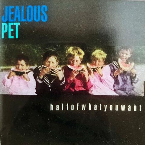 Half of What You Want album art