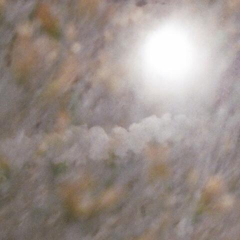 quiet circle album art