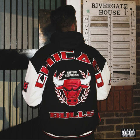 BLUNT album art