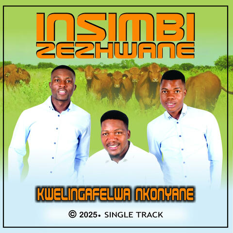 KWELINGAFELWA NKONYANE album art