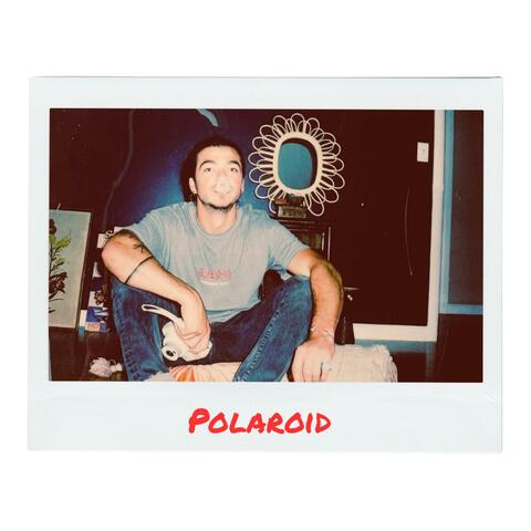 Polaroid album art