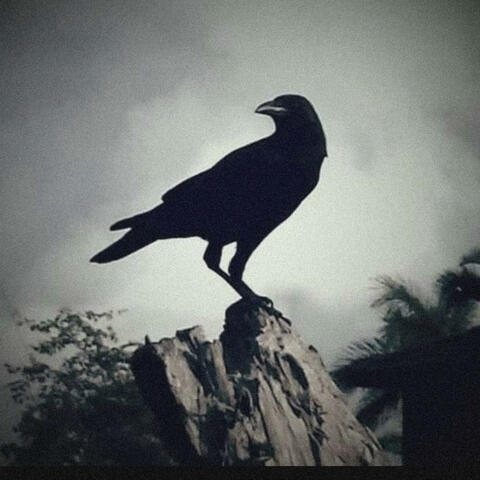 Mournful Morning album art