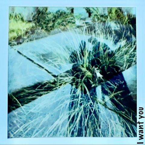 I Want You album art