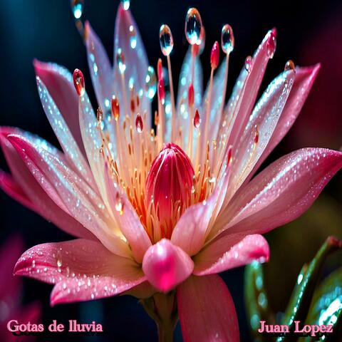 Gotas de lluvia album art