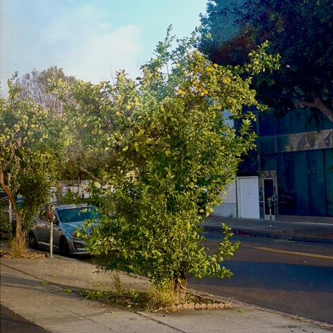 March Improvisations album art