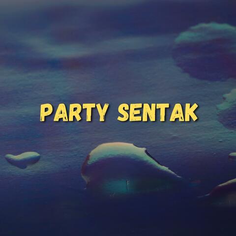 DJ STECU STECU album art