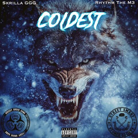 Coldest (feat. Rhythm The M3) album art