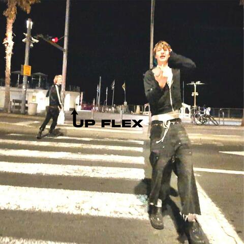 UP FLEX album art