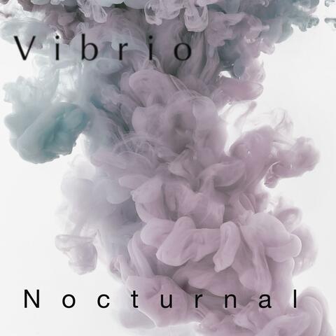 Nocturnal album art