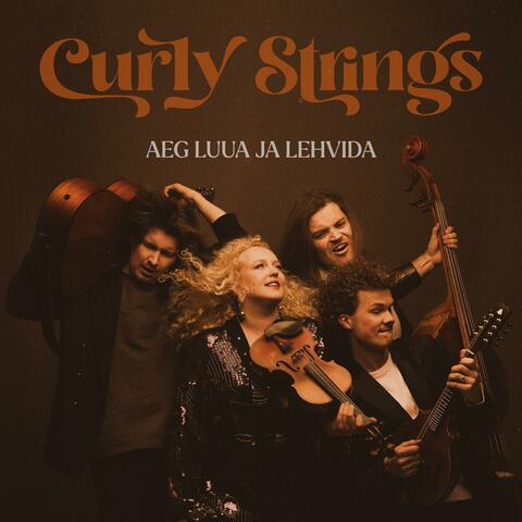 Aeg luua ja lehvida album art