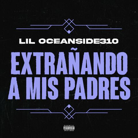 EXTRAÑANDO A MIS PADRES album art