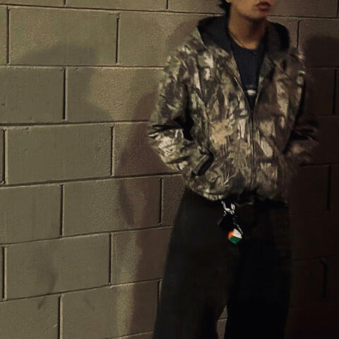 hiding from the truth album art