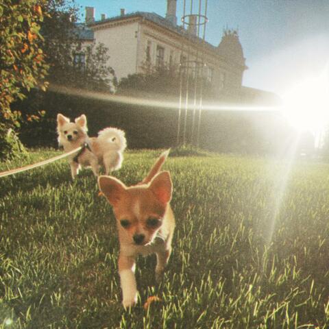 park day album art