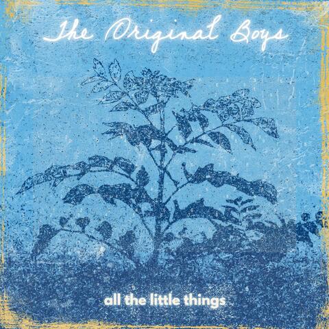 All the Little Things album art