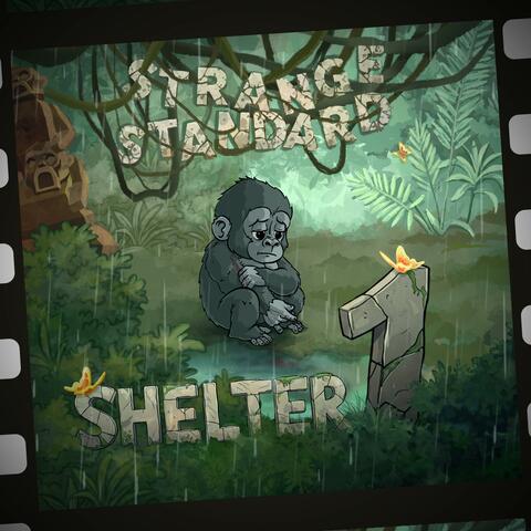Shelter, Pt. 1 album art