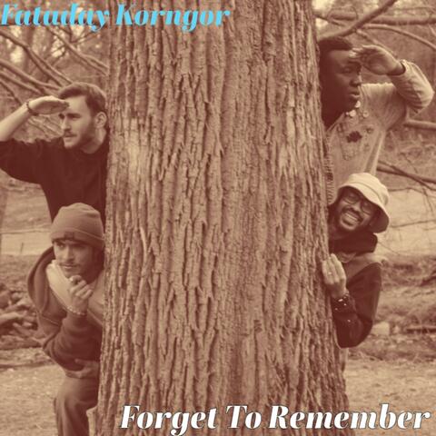 Forget To Remember album art
