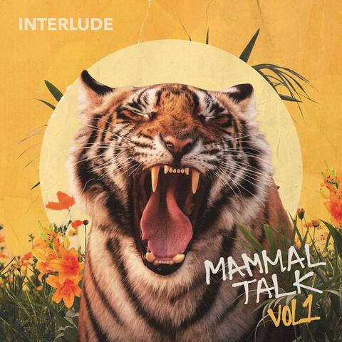 Interlude album art