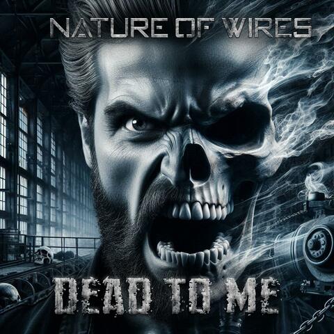 Dead to Me album art