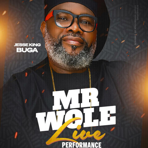 Mr Wole Live Performance at Hit City Studio (Special Version) album art