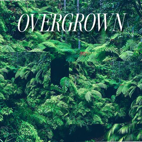 Overgrown album art