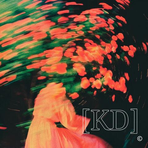 DONNY album art