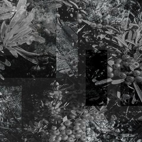 Crystal Palace album art