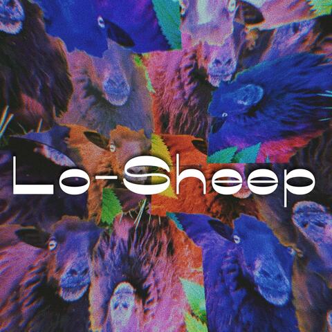 Lo-Sheep album art