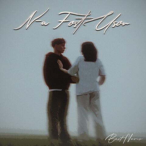 N-a fost usor album art
