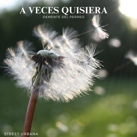 A VECES QUISIERA album art