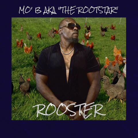 Rooster (Southern Soul mix) [where them Hens at] album art