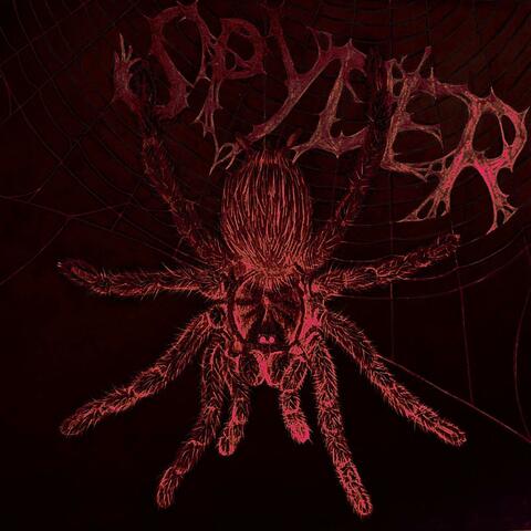 Spyder album art