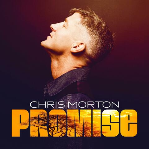 Promise album art
