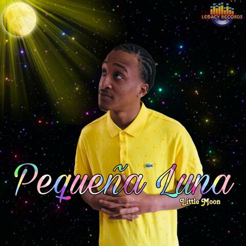 Pequeña Luna  (Foreign Sound ) album art