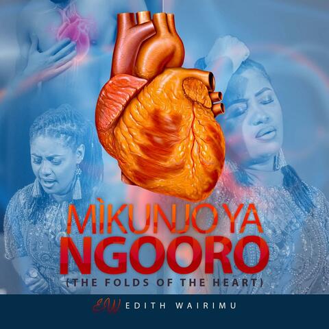 Mikunjo ya ngooro album art