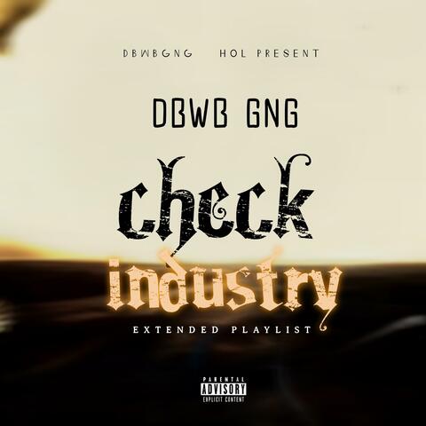 Check industry album art