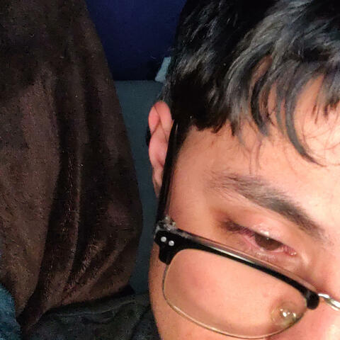 CEBOLLERO album art