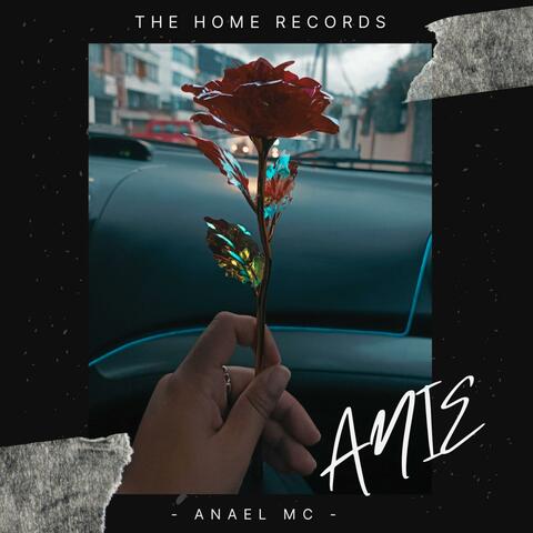 ANIE album art